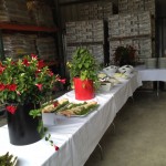 Catering with Clare And Don's Beach Shack